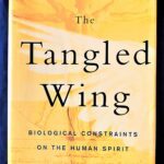 The Tangled wing